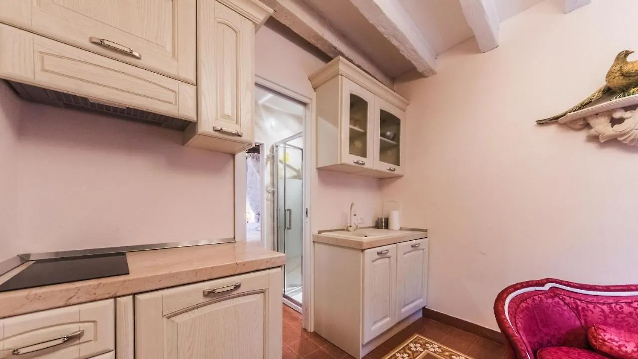 Residenza La Salute Apartment Venice